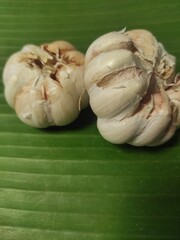 fresh garlic on the table
