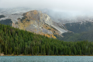 Misty mountain slope and pine forest by lake in Jasper National Park