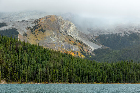 Misty mountain slope and pine forest by lake in Jasper National Park - Powered by Adobe