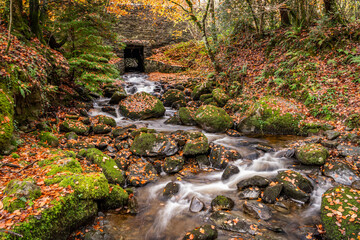 Obraz premium Autumn by the miners bridge north wales Uk