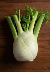 A large, fresh fennel bulb sits ready for cooking on a wooden surface, showing its white layers and delicate green fronds ,overhead ,gourmet ,cutting board