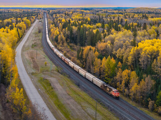 Freight train through autumn forest at sunrise in Alberta, Canada