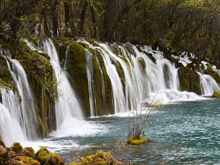 Obraz premium the wide white waterfall in the forest in autumn