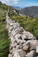 typische steinmauer auf mallorca