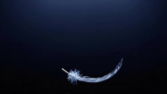 A single iridescent feather falling in slow motion. Vertical video of a graceful, dreamlike animation. Ethereal light against a dark blue background