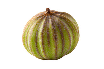 Striped zucchini resting, isolated on transparent background