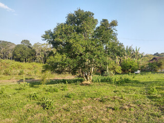 ree shadow, eleven hour, Sao Paulo, Brazil