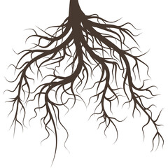 Brown Tree Root System Silhouette Isolated on White Background Detailed Organic Structure Natural Science Botany Concept