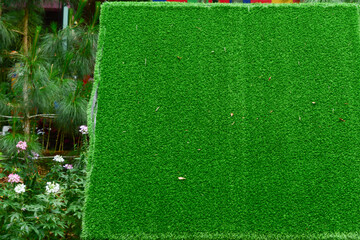 A close-up view of lush, well-maintained green grass, perfect for a natural background or outdoor scene.