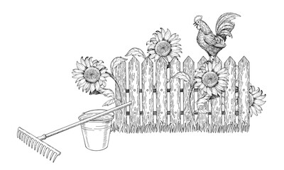 Composition of rooster on the fence, sunflowers, bucket, and rake. Vector ink styled handmade illustration. For packaging design, cards, cover, prints, product labels and fabric.