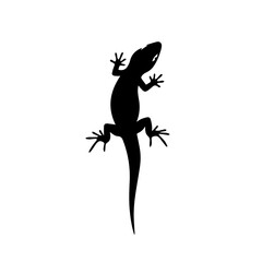Minimalist black silhouette of a lizard or gecko viewed from above, isolated on a white background.