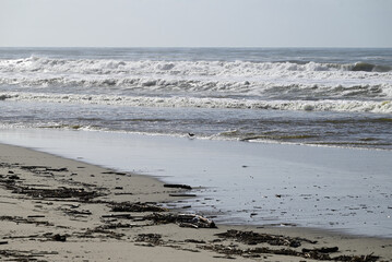 Fototapeta premium Mediterranean Beach at Tore del lago Puccini. Autumn sky with little sun. Reflections in water.