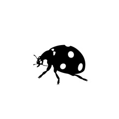 Silhouette of a ladybug with spots, showcasing its body structure and delicate legs, isolated on white.