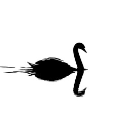 A minimalist black silhouette of a swan with its reflection on a white background, creating a striking contrast and artistic effect.