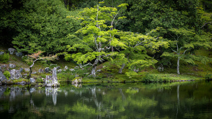 Beautiful Japanese zen garden reflecting on the Sōgen Pond waters at Tenryū-ji temple. Arashiyama, Kyōto, Japan.