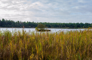 Calm forest lake reflecting autumn trees under cloudy peaceful morning sky. Stillness of early autumn landscape, untouched wetland habitat, concept of tranquility, nature conservation and environment