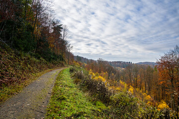 a hiking trail in autumn with dim light and a beautiful layer of white clouds
