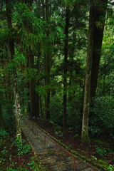 Obraz premium Taki-jinja or Shrine in Gifu, Japan - 日本 岐阜 瀧神社