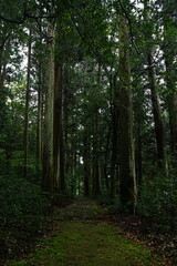 Obraz premium Taki-jinja or Shrine in Gifu, Japan - 日本 岐阜 瀧神社