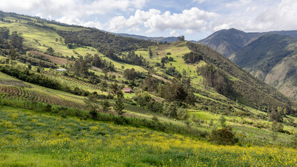 Expansive mountain panorama featuring crop fields, forests, and bright yellow wildflowers under a partly cloudy sky. Perfect for ecology, agriculture, and natural beauty concepts.