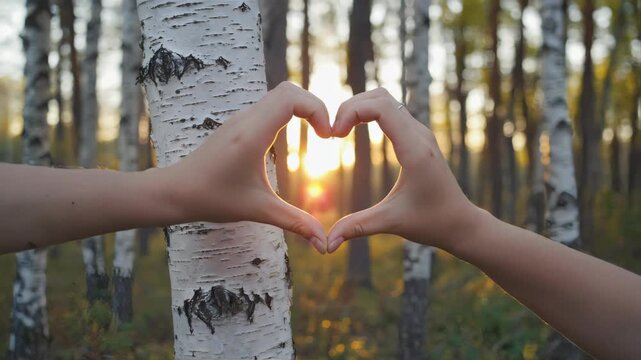 Close-up of human hands forming a heart shape in front of a tree trunk, concept of love nature and conservation, forest background