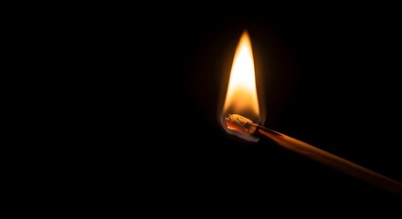 A single match ignites in total darkness, its vibrant flame flickering and revealing the detailed texture of a glowing ember on the burnt wood