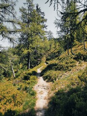 Sunny Alpine Hiking Trail on Grie&szlig;enkar Mountain Ridge, Flachau