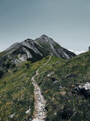 Steep Alpine Ridge Trail Leading to a Summit in the Zauchensee Mountains