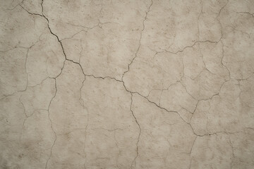 Obraz premium Cracked dry earth texture for background or design use