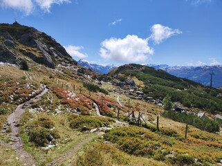 Panoramaweg Autumn Hike: Golden and Crimson Meadows in the Salzburger Mountains