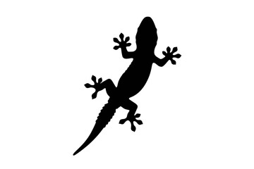 silhouette of a lizard isolated on a white background