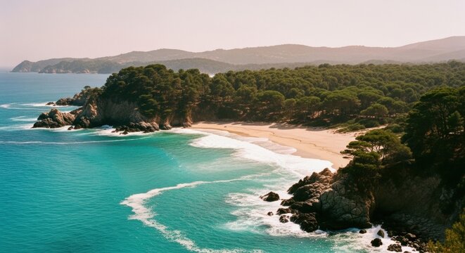 Secluded sandy cove with turquoise ocean water. Rocky coastline with lush green pine forest. Idyllic travel destination for summer vacation. Aerial view of a pristine coastal landscape