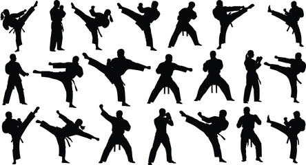 Martial arts silhouette collection, karate kick and fight poses vector design, training and self defense illustration set, fitness activity icons, cad drawing flat vector illustration © Parimal