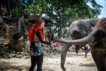  A beautiful girl and elephants. A girl with red hair. Big elephants.