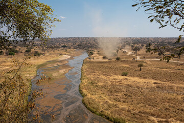 Beautiful African savannah. Large trees. Bushes. Sunny summer day.