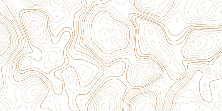 Topographic Contour Art in the Style of Classic Surveyor Maps with Rustic Linework, Organic Earth Tones, and a Strong Connection to Natural Geography. white background topo.