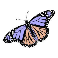 Elegant butterfly illustration with soft lavender and peach wings, perfect for spring designs