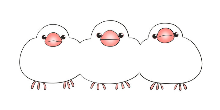 ぶんちょう」の写真素材 | 4,811件の無料イラスト画像 | Adobe Stock