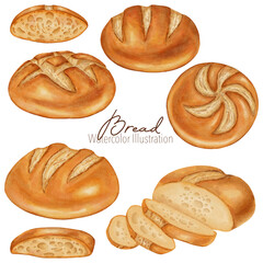 Watercolor Illustration set featuring assorted white bread types: baguette, sliced loaf, round loaf, and buns.  Perfect for bakery branding, menu, food packaging, cookbooks, recipes