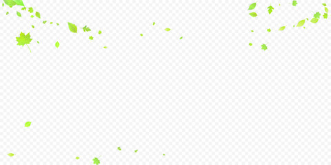 Leaves Falling. Spring Flying Foliage. Chaotic Green Leaf Flying On Transparent Background. Forest Design, Nature Elements. Ecology Vector Illustration. Environment Backdrop.