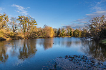 Late Autumn/Early Winter Scene by a Pond in a Historic Park: Reflections of Bare Trees and Willows in the Water on a Clear Day
