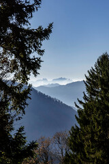 view between two trees onto the shades of snow covered mountains