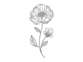 Elegant hand drawn line art illustration of a poppy flower with a smaller bud and leaves on a white background