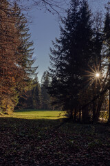 clearing in evening light in autumn / fall with blue sky in the Lecknertal near Hittisau in Bregenzer Wald in Vorarlberg Austria