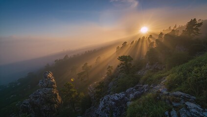 Golden sunbeams pierce misty mountain forest, illuminating rugged rocks and lush green pines at dawn