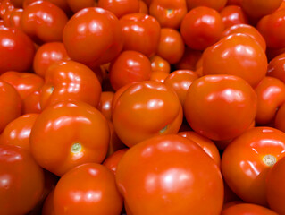 Red tomatoes in market