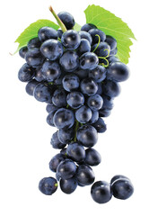 bunch of grapes