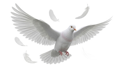 Obraz premium A majestic white dove with its wings spread wide in mid flight surrounded by falling feathers isolated on transparent background