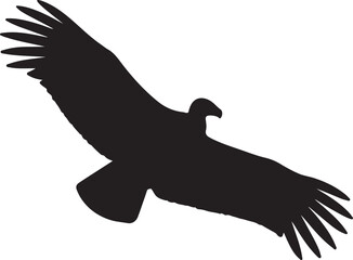 Flying eagle silhouette vector illustration