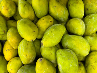 Close-up of Fresh Yellow Mangoes in a Vibrant Pile